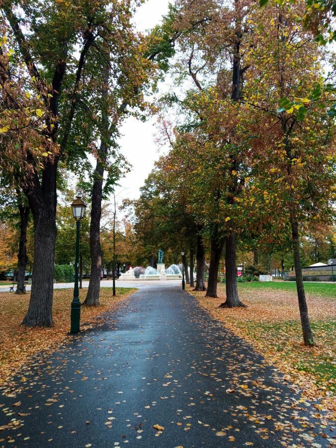 Rare A - Champ De Mars Vue Sur Parc - 70m2 - 2 * Colmar