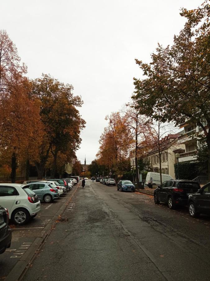 Rare A - Champ De Mars Vue Sur Parc - 70m2 - 2 Appartement Colmar