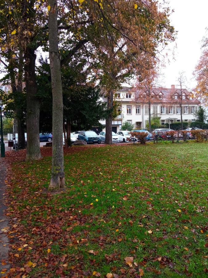 Rare A - Champ De Mars Vue Sur Parc - 70m2 - 2 * Colmar